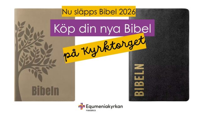 Bibel 2026
